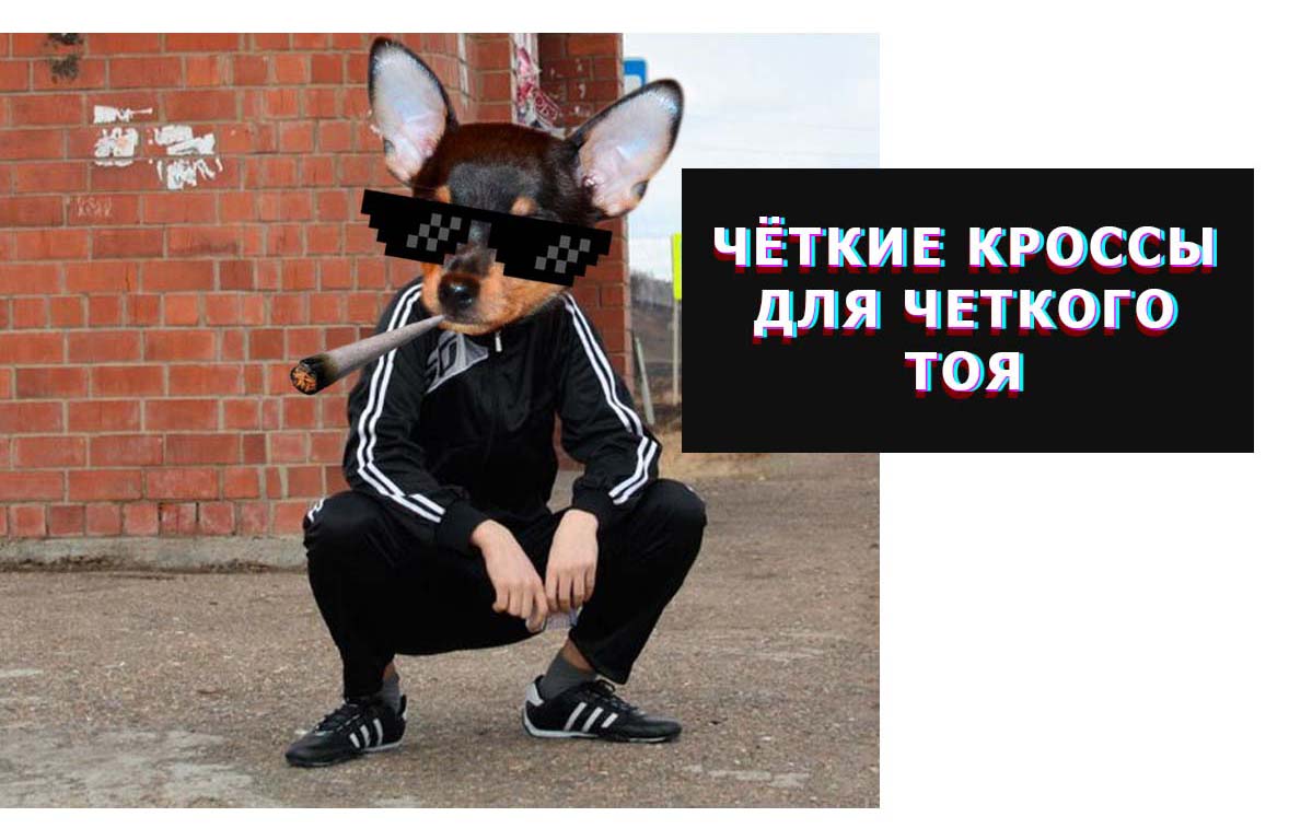 Обувь для собак с AliExpress: топ-6