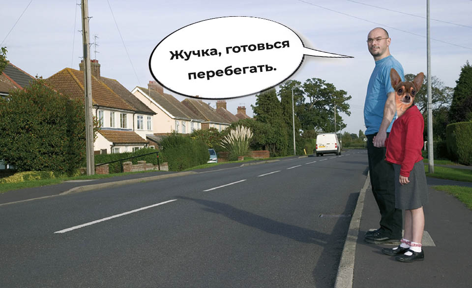 Собака в городе: правила хорошего тона